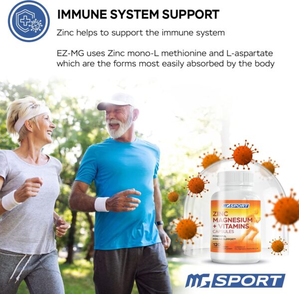 Magnesium Zinc Supplement with Vitamins B6, B9, High Absorption Zinc Magnesium Combination for Immune Support, Muscle Recovery, EZ-MG Easy on Stomach, 120 Capsules