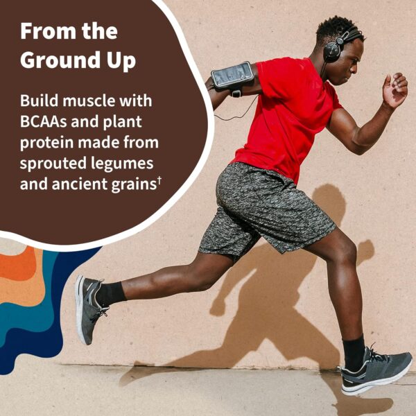 Vegan Protein Powder - Chocolate Organic Protein Powder, 22g Plant Based Protein & BCAAs, Probiotics & Digestive Enzymes - Garden of Life, Gluten & Lactose Free 1.5 LB