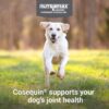 Cosequin Joint Health Supplement for Dogs - With Glucosamine, Chondroitin, MSM, and Omega-3's, 120 Soft Chews