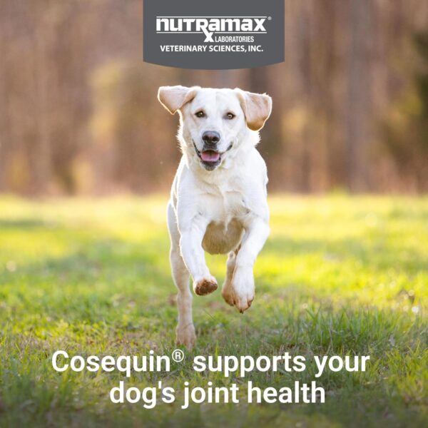 Cosequin Joint Health Supplement for Dogs - With Glucosamine, Chondroitin, MSM, and Omega-3's, 120 Soft Chews