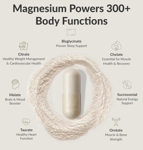 BIOptimizers Magnesium Breakthrough Supplement 4.0-7 Forms of Mg: Glycinate, Malate, Citrate, and More - Natural Support for Sleep and Cognitive Function - 30 Capsules- Calming Vitamins Complex