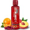 iSatori L-Carnitine LS3 1500, Triple-Blend Liquid L Carnitine Supplement, with Acetyl & Tartrate, Stimulant Free Energy, No Calories, Sugar or Gluten, Keto-Friendly, Malibu Beach Flavor (32 Servings)