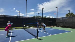 Pickleball Driller. Pickleball Training Aid. This ADJUSTABLE VISUAL LEARNING Pickleball Trainer Improves Dinks, Drives, Serves, Drops, Speed-ups and All Shots With Increased Accuracy and Paddle Skill.