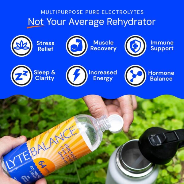 Electrolye Concentrate | Liquid Electrolytes Drink Mix w/Sodium, Potassium & Magnesium | Daily Hydration, Muscle Recovery, Immune Support, Rehydration | Keto, No Sugar (64 Servings)