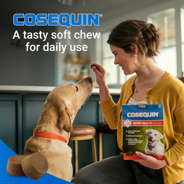 Cosequin Joint Health Supplement for Dogs - With Glucosamine, Chondroitin, MSM, and Omega-3's, 120 Soft Chews