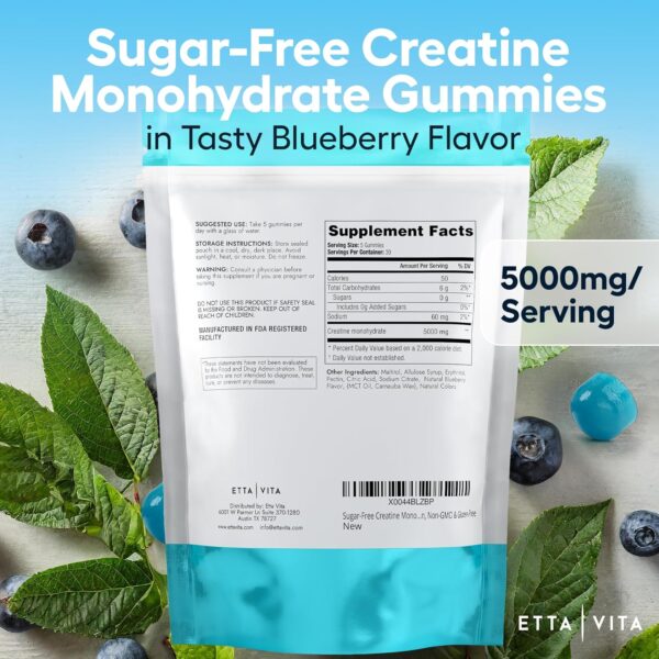 Sugar-Free Creatine Monohydrate Gummies (5g Per Packet) - Potent Creatine Gummies for Men & Women, Supplement for Muscle Support, Cellular Energy, Cognitive Function - Non-GMO, Gluten-Free, Vegan