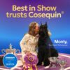 Nutramax Laboratories Cosequin Maximum Strength Joint Health Supplement for Dogs - With Glucosamine, Chondroitin, and MSM, 132 Chewable Tablets