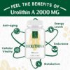 Urolithin A Supplement 2000MG - for Healthy Aging, Antioxidants and Mitochondrial Support - High Purity & Potency - 120 Softgels - 2 Month Supply