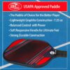 JP WinLook Premium Pickleball Paddles Set – USAPA Pickleball Set - Graphite Carbon Fiber Rackets for Women & Men and Balls for Indoor or Outdoor Play - Racquets, Pickleballs & Carry Bag