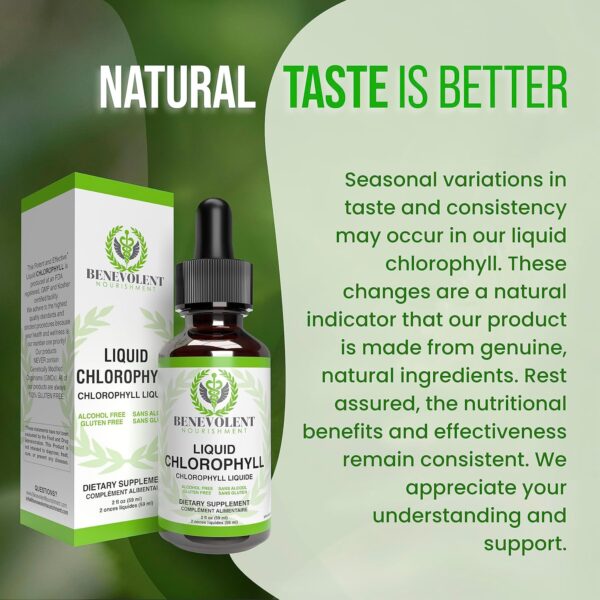 Benevolent Chlorophyll Liquid Drops – Organic Detox & Immune Support, Internal Deodorizer & Skin Health Supplement, Non-GMO, 4 Month Supply, Natural Mint Flavor