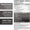 Wilderness Athlete - Brute Force Pre-Workout | Best Pre Workout Powder for Women & Men - Preworkout Drink Supplements with Natural Caffeine - Workout Supplement for Men & Women (Green Apple)