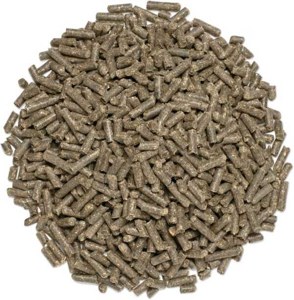Uckele by SmartEquine Sport Grass Pellets | Horse Probiotics, Prebiotics, Vitamins & Minerals, Horse Vitamin E Supplement for Athlete Equines | Provides Amino Acids for Muscle Support | 30 lb Bag