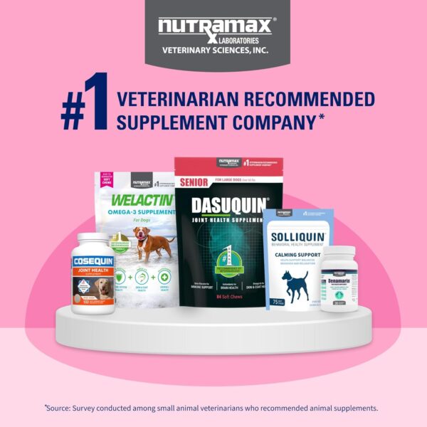 Nutramax Proviable Probiotics for Dogs, Diarrhea Support Kit, Digestive Health Supplement with Multiple Strains of Bacteria, Plus Prebiotics, Kaolin and Pectin, 30 ml Paste and 10 Capsules