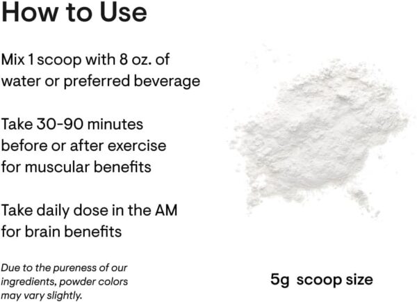 THORNE - Creatine - Creatine Monohydrate, Amino Acid Powder - Support Muscles, Cellular Energy and Cognitive Function* - Gluten-Free, Keto - NSF Certified for Sport - 16 Oz - 90 Servings