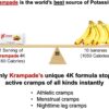 Electrolytes Powder Potassium Supplement - 2000 mg K+, >2X More Than Coconut Water | Cramp Relief and Prevention | Hydration Powder Packets
