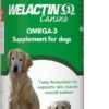 Nutramax Welactin Omega-3 Fish Oil Skin and Coat Health Supplement Liquid for Dogs - 16 Ounce
