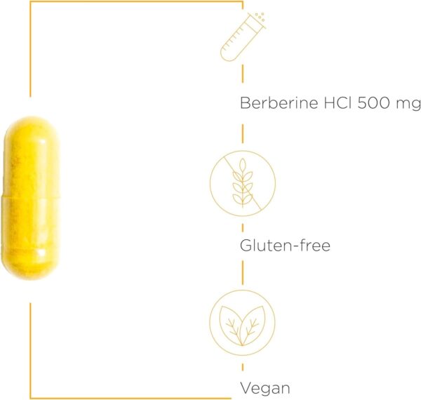 Integrative Therapeutics Berberine - 1000–1500 mg Daily - Berberine HCL Supplement for Metabolic Support* - Gluten-Free & Vegan Supplements for Men & Women - 60 Capsules