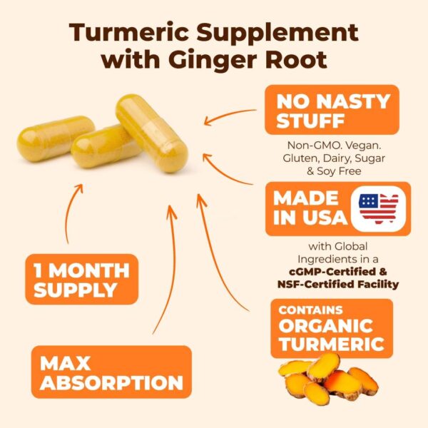 Turmeric Supplement with Ginger Root for Joint & Digestion Support - Turmeric Curcumin Supplement 95% Curcuminoids. Contains Organic Tumeric with Black Pepper (Bioperine) for Max Absorption. 60 Caps