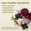 Snap Supplements Heart Health Support Supplement with Coq10, Organic Beet Root Powder, Hawthorn Berry, Turmeric and Odorless Garlic, Supports Nitric Oxide Level, Circulation and Flow, 90 Capsules