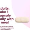 Phillips' Colon Health Daily Probiotic Capsules, 4-in-1 Symptom Defense to help defend against Occasional Gas, Bloating, Constipation, and Diarrhea, Daily Supplement, 60 Count