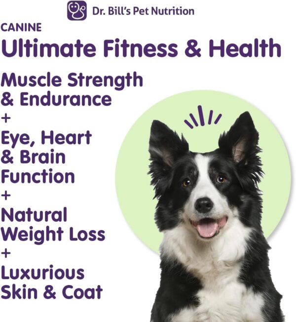 Dr. Bill’s Canine Ultimate Fitness & Health Vitamins for Dogs | Multivitamin for Dogs w/Coenzyme Q-10, Vitamin E, Vitamin D-3, Biotin, Folic Acid, Hyaluronic Acid Dog Vitamins and Supplements 340g