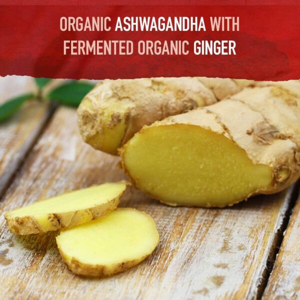 Garden of Life Organics Ashwagandha Stress, Mood & Energy Support Supplement with Probiotics & Ginger Root for Digestion - Vegan, Gluten Free, Non GMO – 2 Month Supply, 60 Tablets