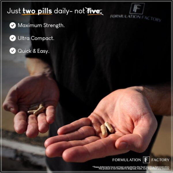 Self Obsessed 10 in 1 Masculinity Maximizer Supplement, Shilajit for Men, Tongkat Ali, Ashwaganda, Fenugreek Muscle Growth, Energy Management, Drive, Strength, Recovery 1-month supply (Pack of 1)