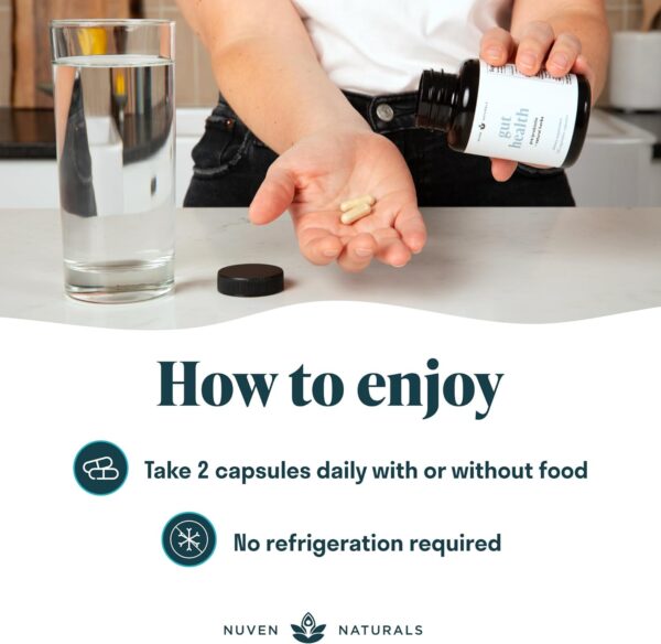 All-in-One Gut Health w/Probiotics, Prebiotics, Digestion-Supporting Herbs, and Adaptogens - Leaky Gut Repair Formula to Support Gut Lining, Aid in Digestion, and Promote Good Bacteria