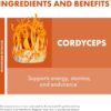 Host Defense Cordyceps Powder - Immune & Energy Support Supplement - Kidney Health Supplement with Cordyceps Mushrooms - Fitness Support Supplement to Aid Oxygen Uptake - 3.5 oz (66 Servings)