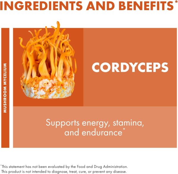 Host Defense Cordyceps Powder - Immune & Energy Support Supplement - Kidney Health Supplement with Cordyceps Mushrooms - Fitness Support Supplement to Aid Oxygen Uptake - 3.5 oz (66 Servings)