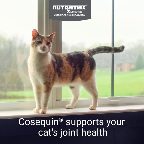 Nutramax Cosequin Joint Health Supplement for Cats - With Glucosamine, Chondroitin, and Omega-3, 60 Soft Chews