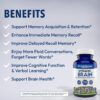 Stonehenge Health Dynamic Brain Supplement – New Formula with BacoMind for Memory Acquisition, Retention, & Recall with 40 Unique Nootropic: Choline, Phosphatidylserine, and Huperzine A