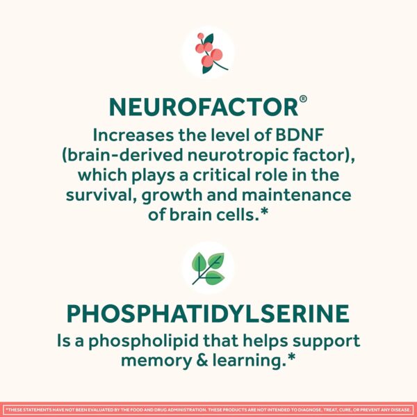 NEURIVA Original Decaffeinated Clinically Tested Nootropic Brain Supplement for Memory, Focus & Concentration, NeuroFactor & Phosphatidylserine, 28ct Capsules