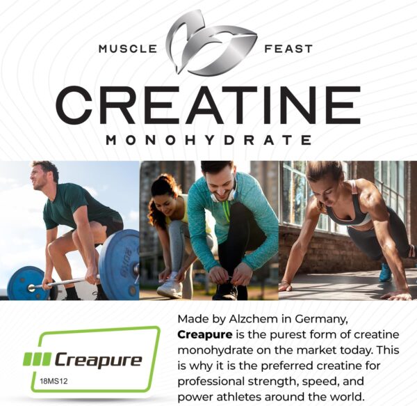 Muscle Feast Creapure Creatine Monohydrate Powder, Vegan Keto Friendly Gluten-Free Easy to Mix, Muscle Recovery Supplement and Best Creatine for Muscle Growth, Natural Orange, 300g