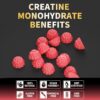 Creatine Monohydrate Gummies for Men & Women, Creatine Monohydrate for Muscle Strength, Muscle Builder, Energy Boost, Pre-Workout Supplement(120 Count)-Watermelon Flavor