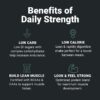 Wilderness Athlete - Daily Strength Premium Protein | Whey Protein Powder for Women & Men - Best Protein Powder for Lean Muscle - Clean Protein Powder with Whey Protein Isolate (Chocolate Moose)