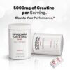 Codeage Liposomal Creatine Powder Supplement - 3-Month Supply - 5000mg Creatine Monohydrate Pre Workout & Post Workouts - Unflavored Creatine, Pure Creatine Powder, Creatinine for Sports - 90 Servings