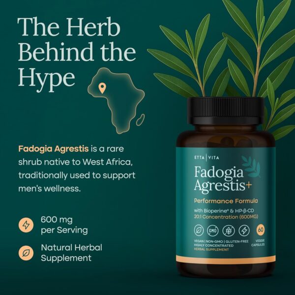 Organic Fadogia Agrestis 600mg for Natural Test Support (2X More Pure - 3X More Absorbent) Athlete Approved - Supports Muscle Growth & Recovery, Healthy Energy Levels, Drive, Stamina & Mood - 60ct