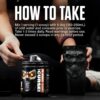 JNX SPORTS The Curse! Pre Workout Powder for Men & Women, Caffeine, Beta-Alanine, Creatine, L-Citrulline, 50 Servings, Peach Mango Flavor – Boost Energy, Strength & Focus