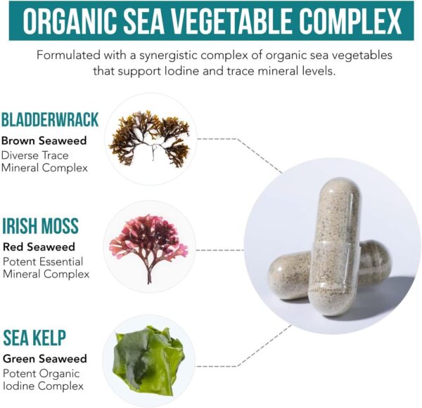 Organic Iodine Supplement from Sea Vegetable Complex, Whole Food & Raw Form - Iodine Plus Trace Mineral Complex – Contains Purest Icelandic Sea Kelp, Irish Moss & Bladderwrack (250 mcg)