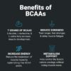 Wilderness Athlete - BCAAs - Branched Chain Amino Acids Powder - Essential Amino Acids Supplement for Men & Women - BCAA Supplement with Optimal Amino Acid Complex (Blood Orange)
