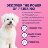 Nutramax Proviable Probiotics for Dogs, Daily Digestive Health Supplement with Multiple Strains of Bacteria, Dog Probiotics Plus Prebiotics, 60 Chewable Tablets