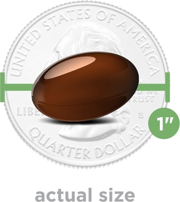 PreserVision AREDS 2 Eye Vitamins for Macular Health, Lutein and Zeaxanthin Supplement with Vitamin C, Vitamin E, Zinc, and Copper for Vision & Ocular Support, 60 Softgels (Minigels)