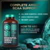 Essential Amino Acids Supplement – 3,000mg Leucine, Lysine, Isoleucine, Tryptophan Complete Complex - All 9 Best Amino Acids for Muscle Growth, Power, Recovery - 120 Vegan, Keto-Friendly BCAA Capsules