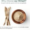 Root Labs10-1 Alpha Gummies | 4000 mg Shilajit I KSM 66 Ashwagandha | Maca Root| Tongkat Ali | No Added Sugar | GMO Free I Vegan I Clean Lab Project Certified I 60 Gummies