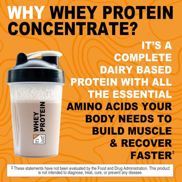 It's Just! - 100% Whey Protein Concentrate, Made in USA, rBGH/RBST Hormone Free, Premium WPC-80, No Added Flavors or Artificial Sweeteners (3 Pound, Unflavored)