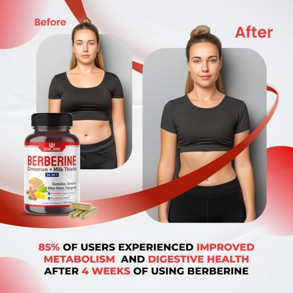 Premium Berberine with Cinnamon, Milk Thistle *USA Made & Test* Promotes Liver Function, Gut Health, Immunity (150 Count (Pack of 1))