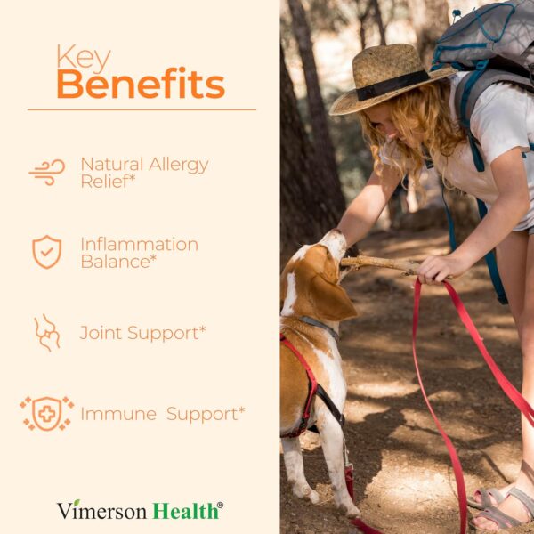 Quercetin with Bromelain Turmeric Supplement - Quercetin 500mg Capsules + Curcumin with Black Pepper - Joint Supplements for Women & Men. Bromelain Turmeric Curcumin Supplement. 60 Tumeric Capsules