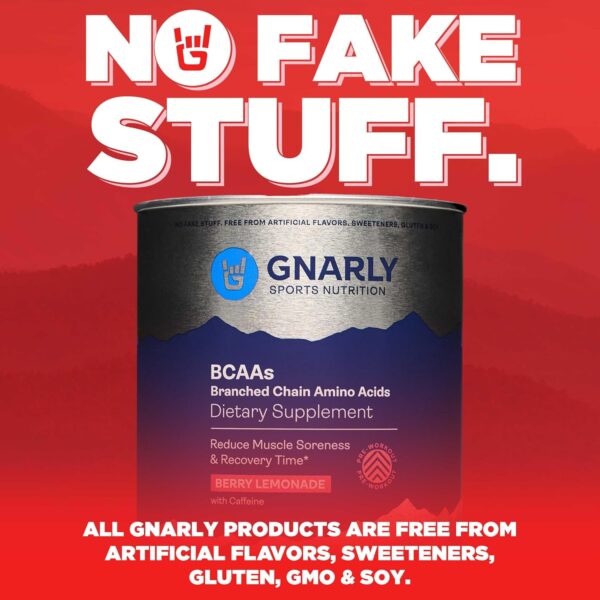 Gnarly Nutrition BCAA Powder, Berry Lemonade – Pre-Workout BCAAS Amino Acids – NSF Sport Certified – Supplement to Support and Rebuild Muscle – Berry Lemonade with Caffeine, 10.58 oz