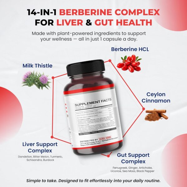 Premium Berberine with Cinnamon, Milk Thistle *USA Made & Test* Promotes Liver Function, Gut Health, Immunity (150 Count (Pack of 1))